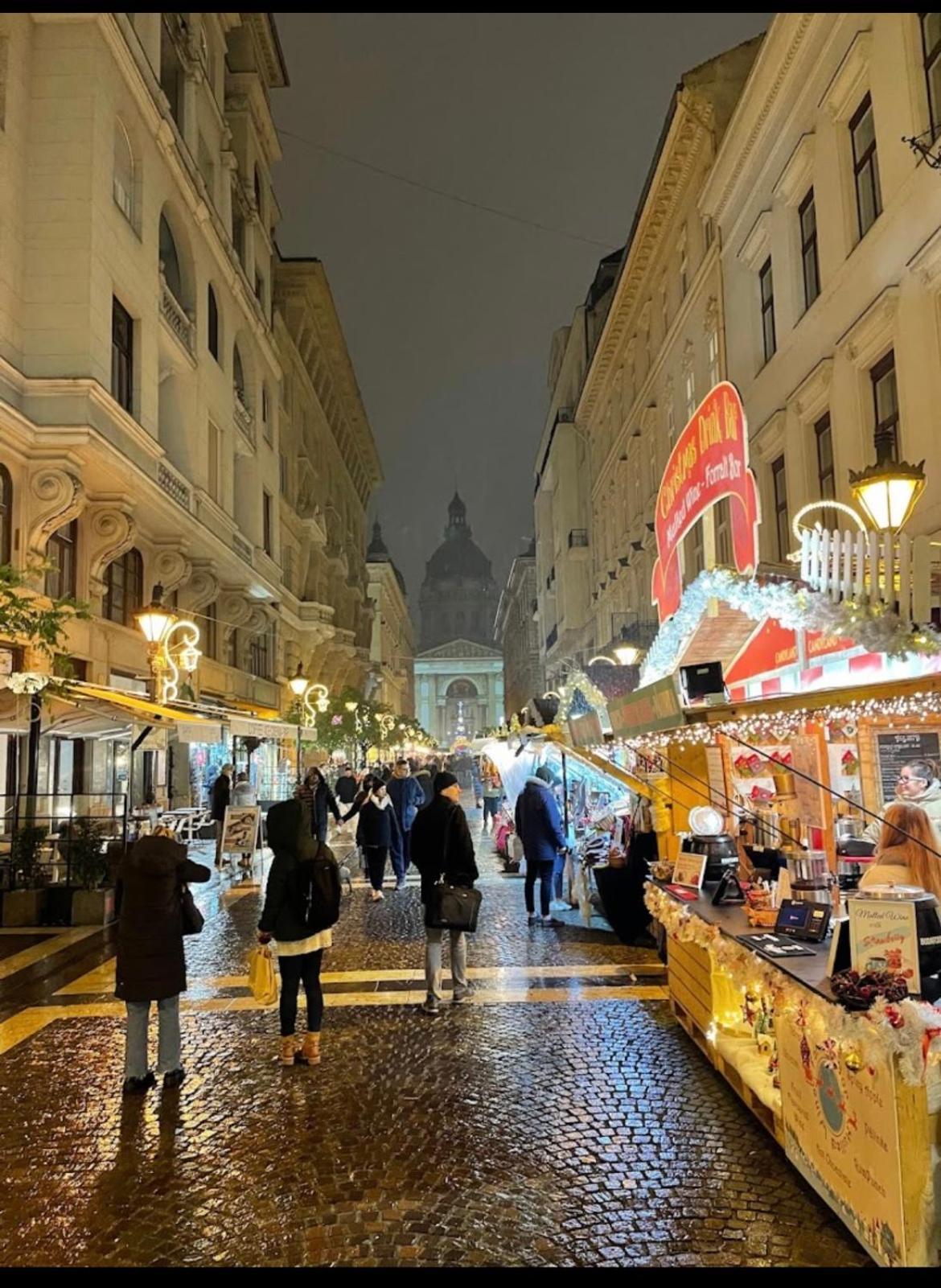 Budapest Downtown Andrassy Eksteriør billede